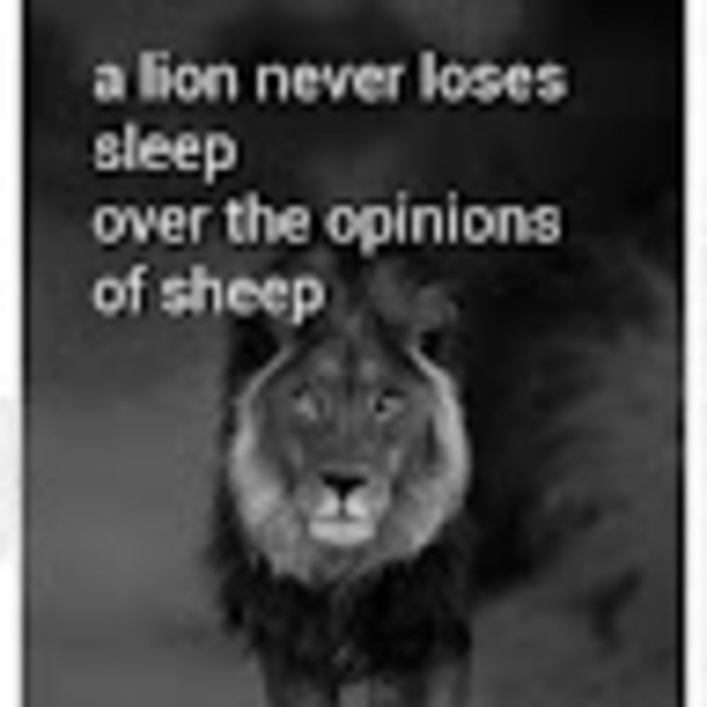 Meet your Posher, Jams